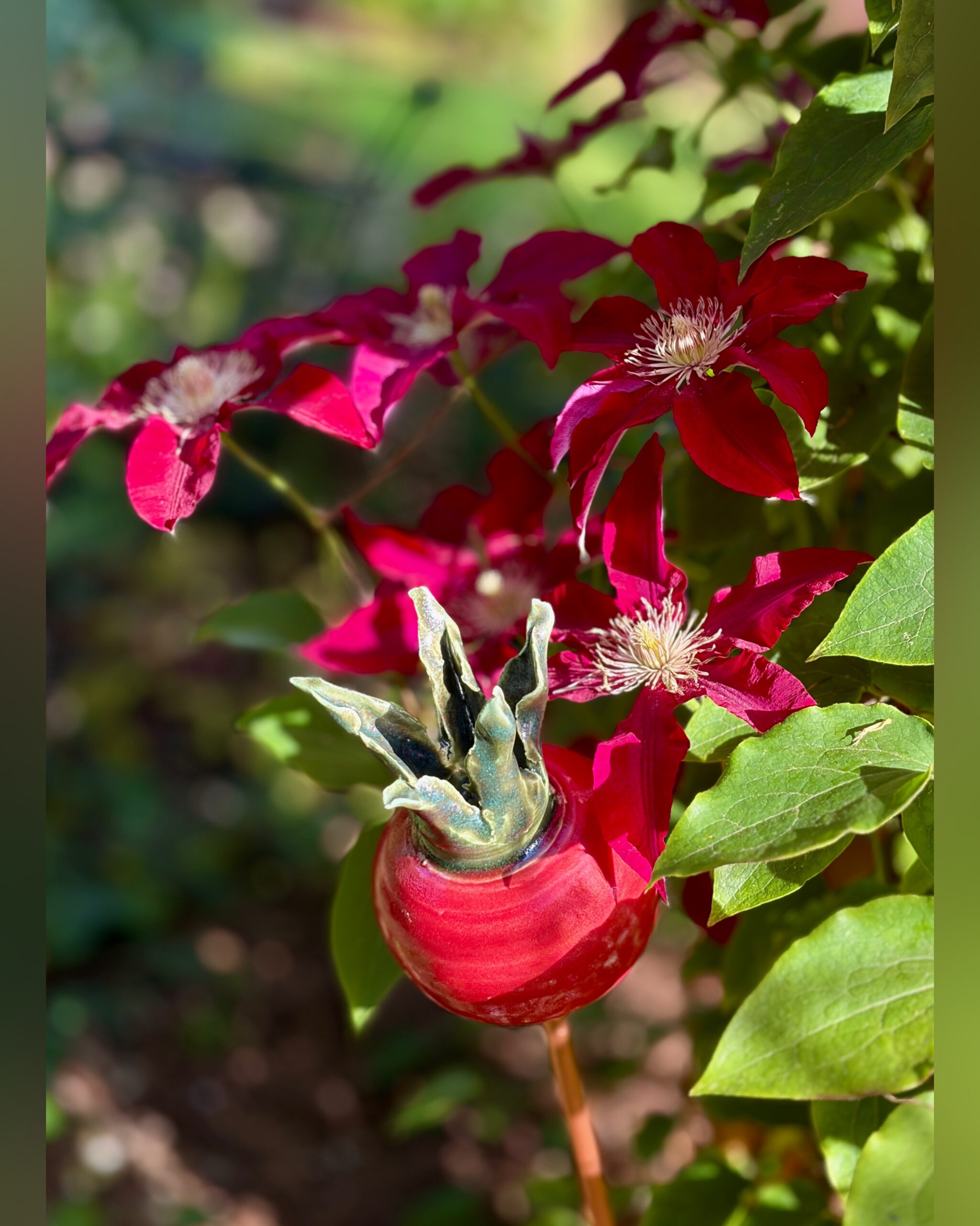 Raspberry coloured ceramic rosehip in front of clematis Rebekka
