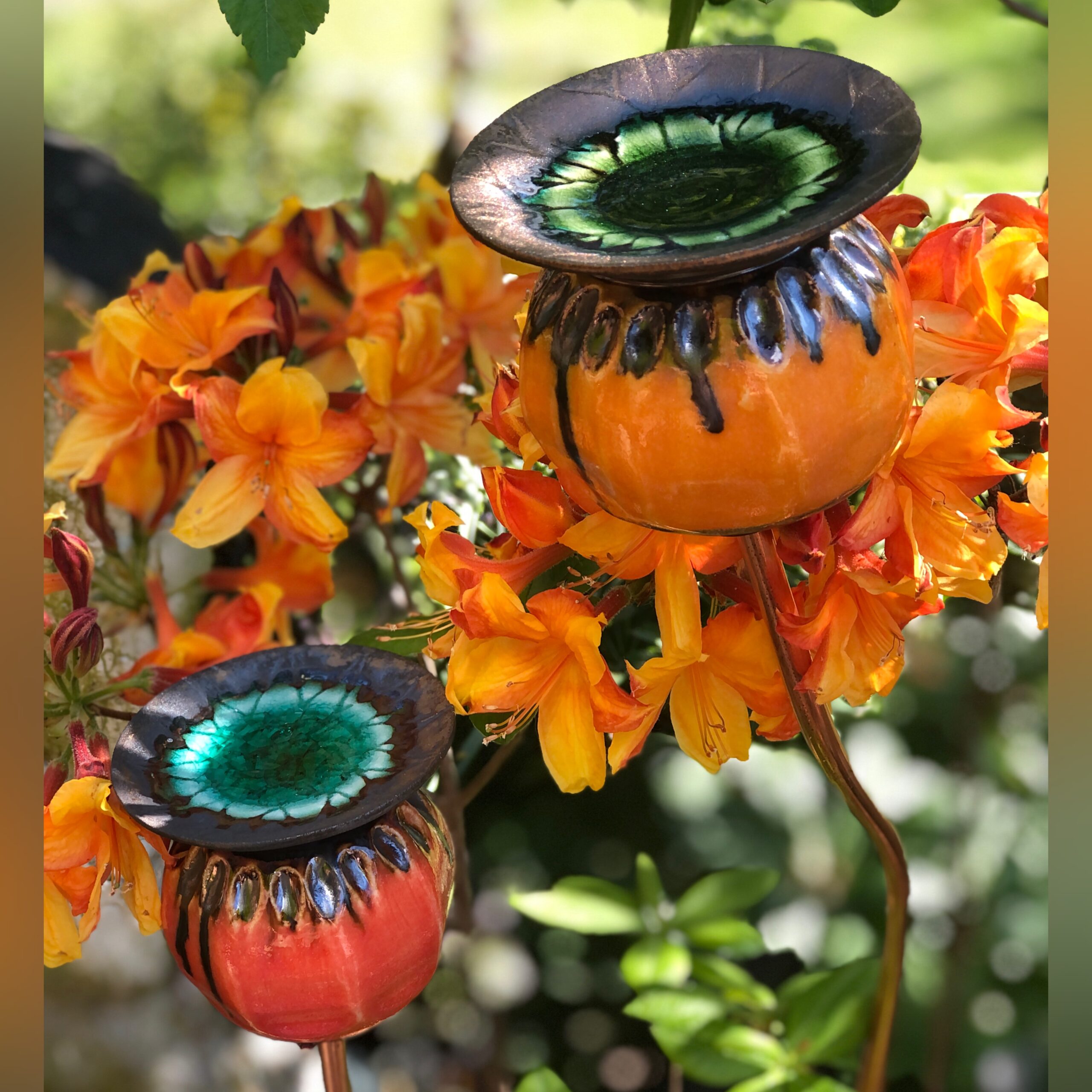 Blending in 2 ceramic poppy seed heads among orange flowering azalea