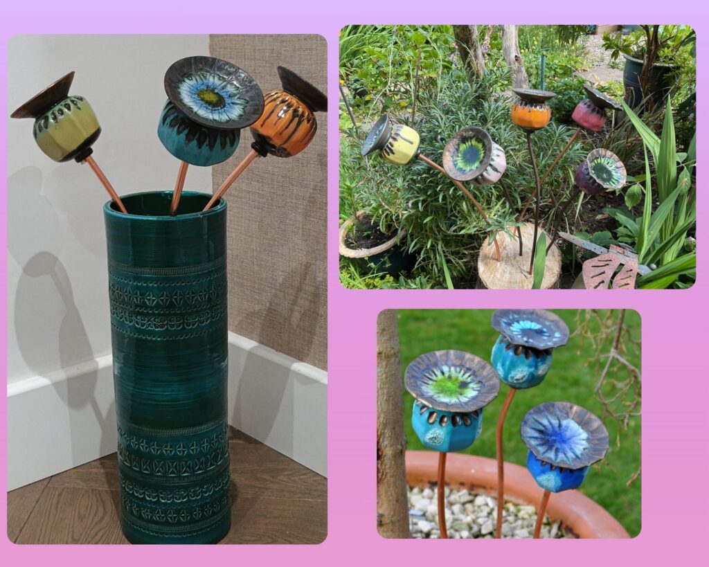 Different displays of poppy seed heads, indoors or outdoors; send in by customers